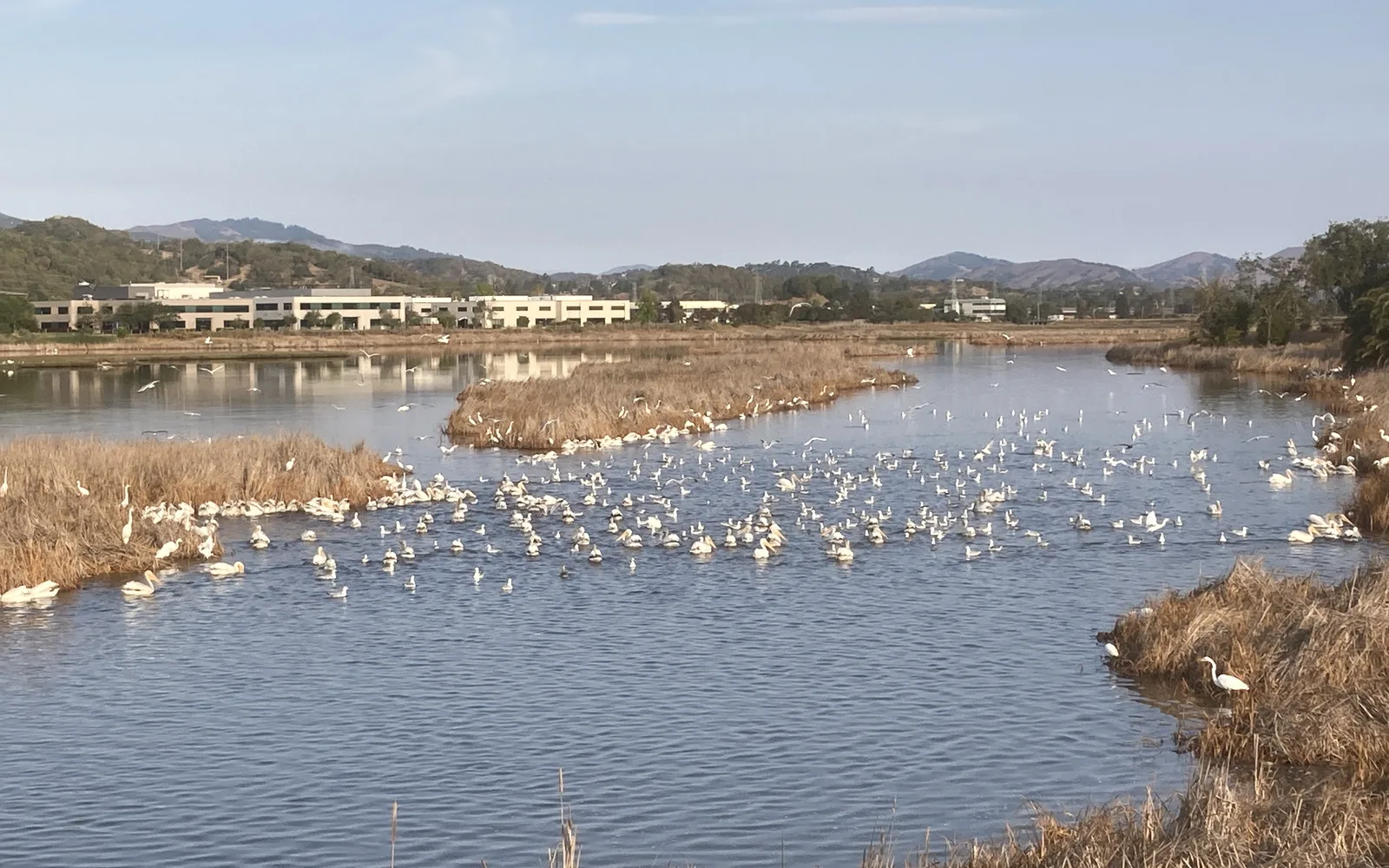 The San Francisco Bay Trail encircles the bay, with this section running along wetlands on the eastern side of Hamilton Field in Novato, California